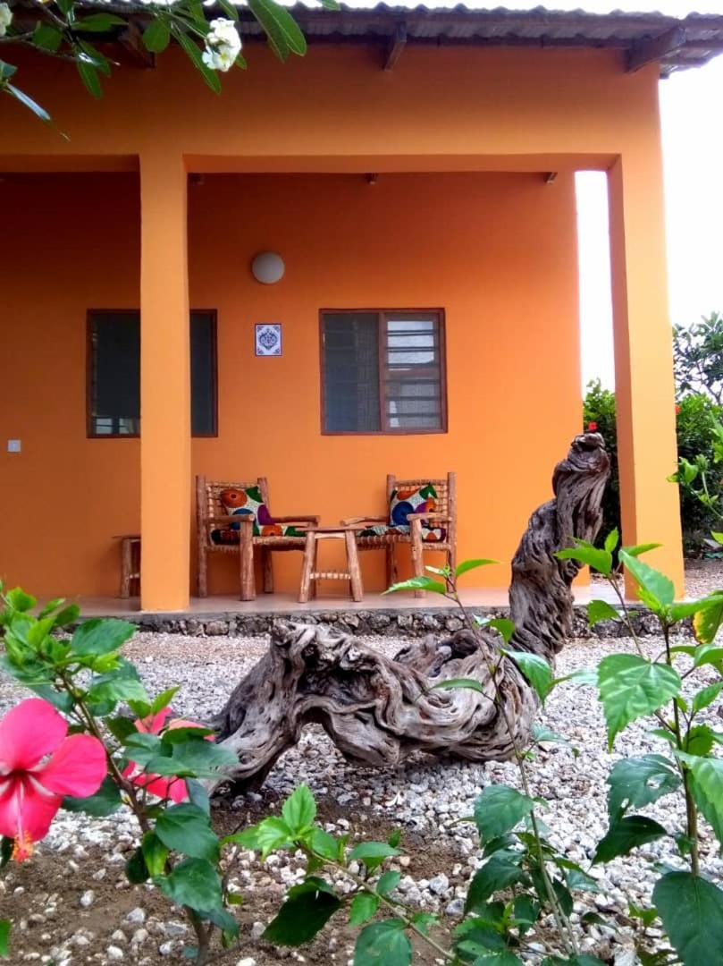 Kamili View Apartments Kiwengwa (Zanzibar) Exterior foto